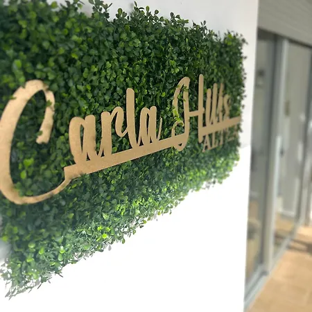 Carla Hills - Seaview & Spectacular Terrace *